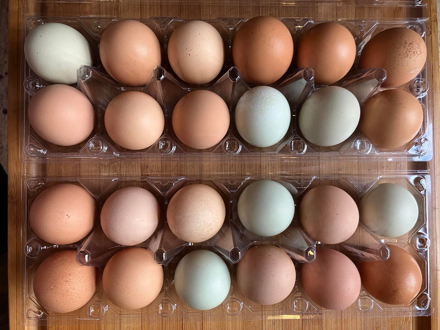 Free Range Eggs One Dozen