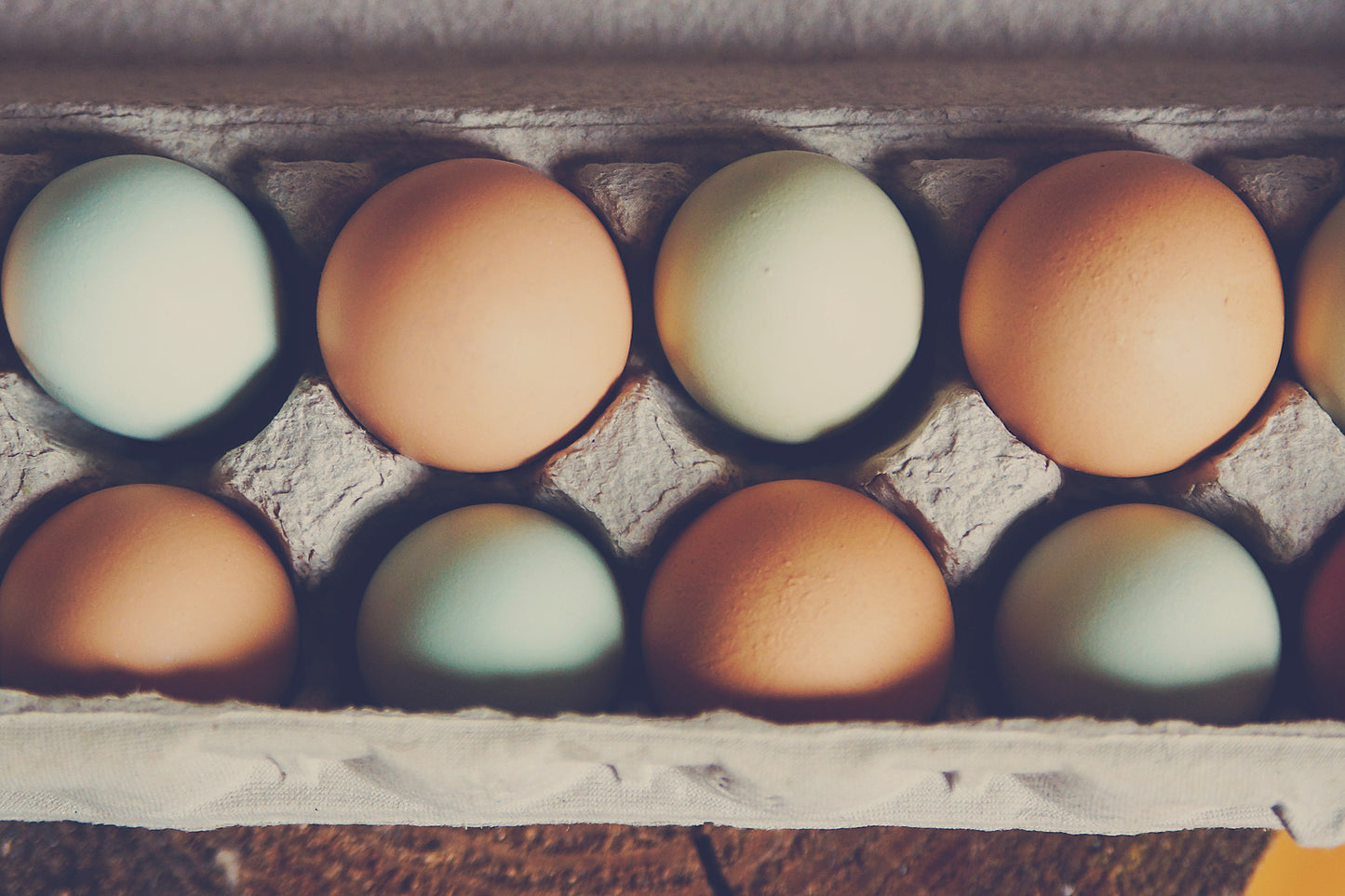 Farm Fresh Groceries Program with Meats - Different Plans Available!
