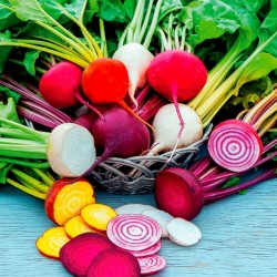 Multi color beets