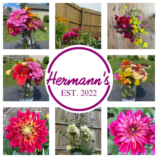 Fresh Flower Bouquets