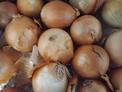 White onions