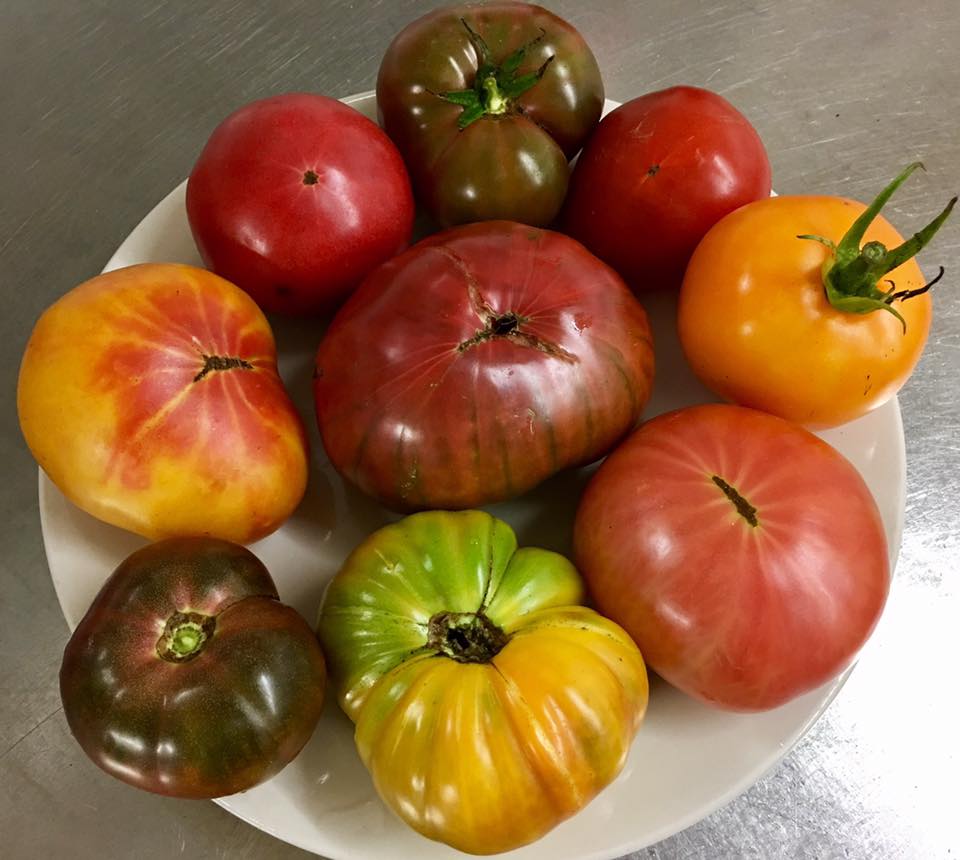 Whole fresh heirloom tomatoes on a plate