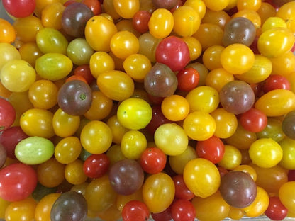 Rainbow cherry tomatoes
