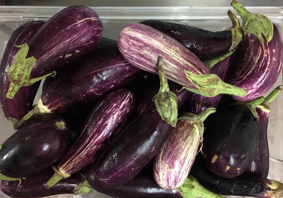 Italian Eggplants